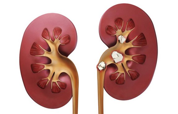 Waarom voldoende water drinken zo belangrijk is